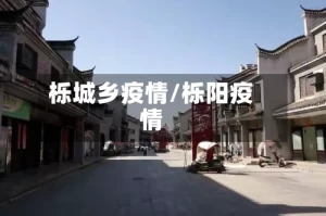 栎城乡疫情/栎阳疫情