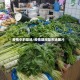 疫情中的菜场/疫情期间菜市场图片