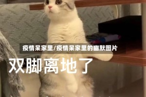 疫情呆家里/疫情呆家里的幽默图片