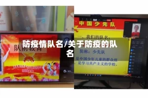 防疫情队名/关于防疫的队名