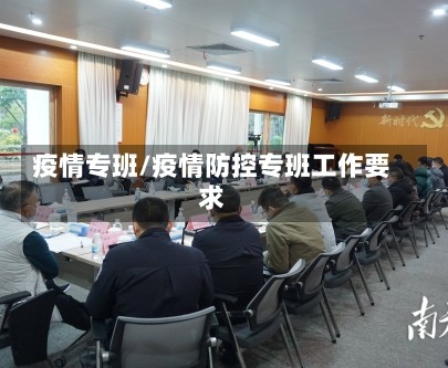 疫情专班/疫情防控专班工作要求