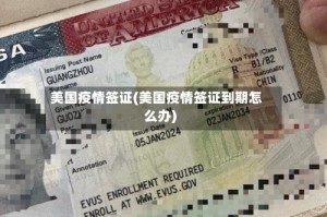 美国疫情签证(美国疫情签证到期怎么办)