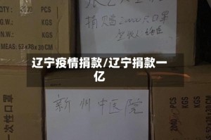 辽宁疫情捐款/辽宁捐款一亿