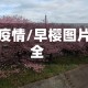 早樱疫情/早樱图片大全