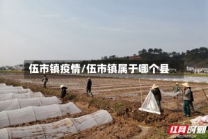 伍市镇疫情/伍市镇属于哪个县