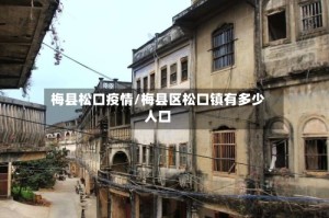 梅县松口疫情/梅县区松口镇有多少人口