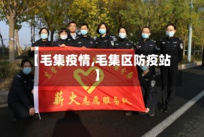 【毛集疫情,毛集区防疫站】