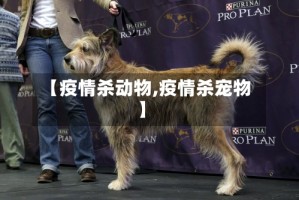 【疫情杀动物,疫情杀宠物】