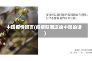 中国疫情赠言(疫情期间送给中国的话)