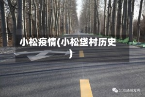 小松疫情(小松垡村历史)