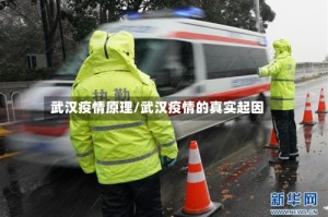武汉疫情原理/武汉疫情的真实起因