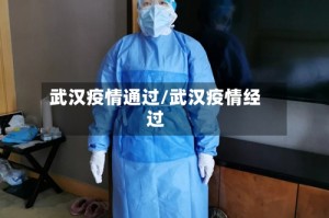 武汉疫情通过/武汉疫情经过