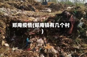 郑庵疫情(郑庵镇有几个村)