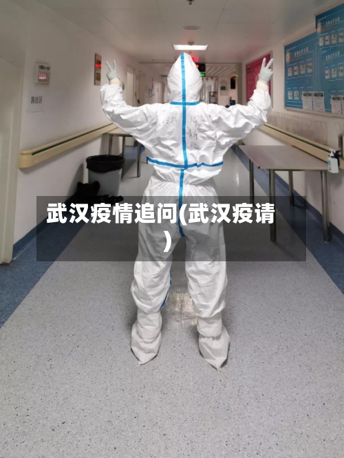 武汉疫情追问(武汉疫请)-第2张图片