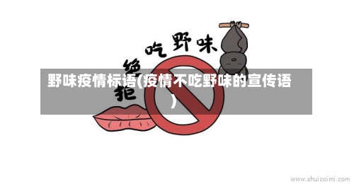 野味疫情标语(疫情不吃野味的宣传语)-第1张图片