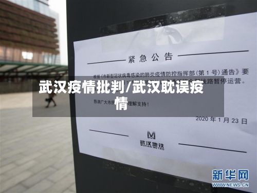 武汉疫情批判/武汉耽误疫情-第2张图片