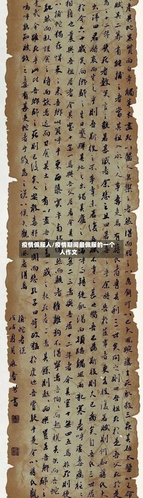 疫情佩服人/疫情期间最佩服的一个人作文-第1张图片