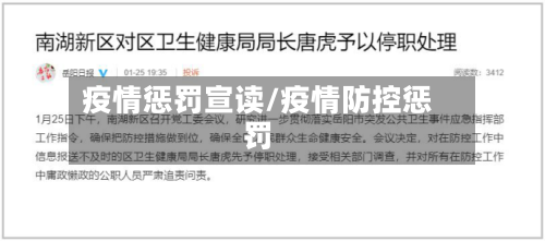 疫情惩罚宣读/疫情防控惩罚-第2张图片