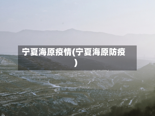 宁夏海原疫情(宁夏海原防疫)-第3张图片