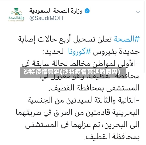 沙特疫情蔓延(沙特疫情蔓延的原因)-第3张图片