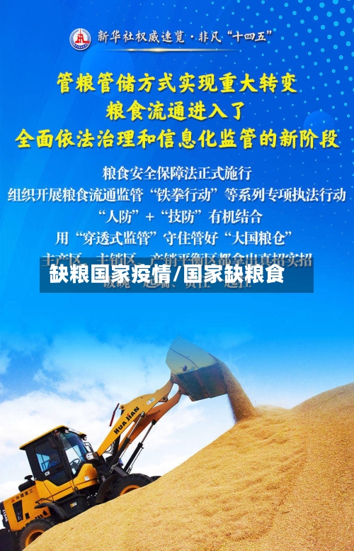 缺粮国家疫情/国家缺粮食-第1张图片