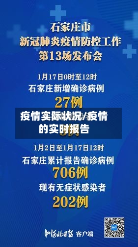疫情实际状况/疫情的实时报告-第3张图片