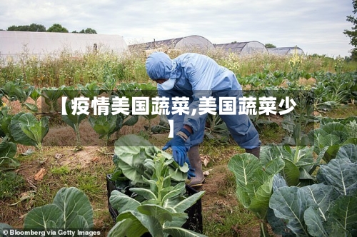 【疫情美国蔬菜,美国蔬菜少】-第1张图片