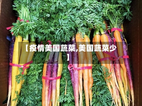 【疫情美国蔬菜,美国蔬菜少】-第3张图片