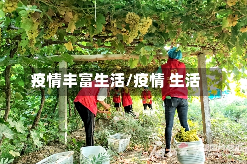 疫情丰富生活/疫情 生活-第3张图片