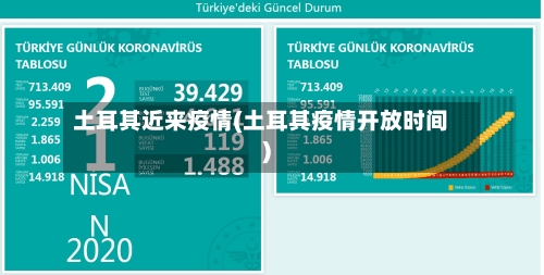 土耳其近来疫情(土耳其疫情开放时间)-第3张图片