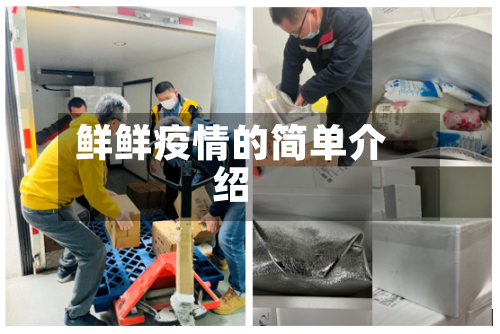 鲜鲜疫情的简单介绍-第2张图片