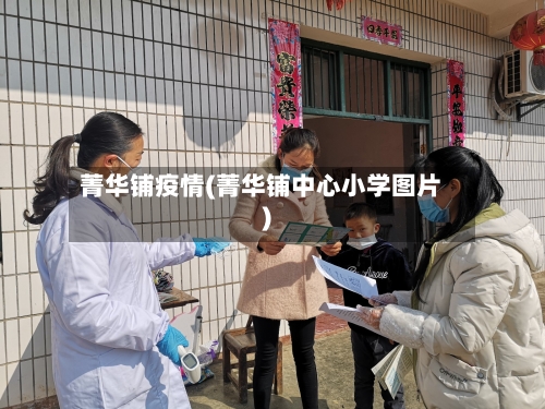 菁华铺疫情(菁华铺中心小学图片)-第2张图片