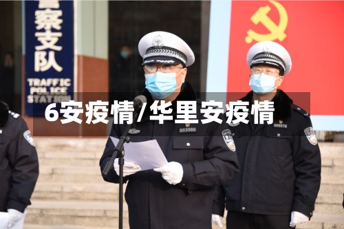 6安疫情/华里安疫情-第2张图片