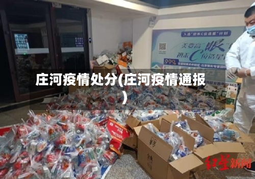 庄河疫情处分(庄河疫情通报)-第3张图片