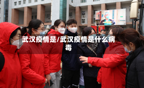 武汉疫情是/武汉疫情是什么病毒-第2张图片
