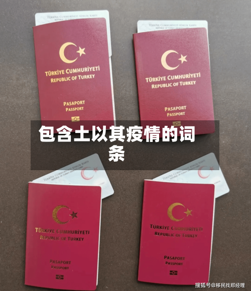 包含土以其疫情的词条-第3张图片