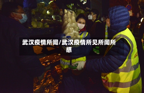 武汉疫情所闻/武汉疫情所见所闻所感-第2张图片