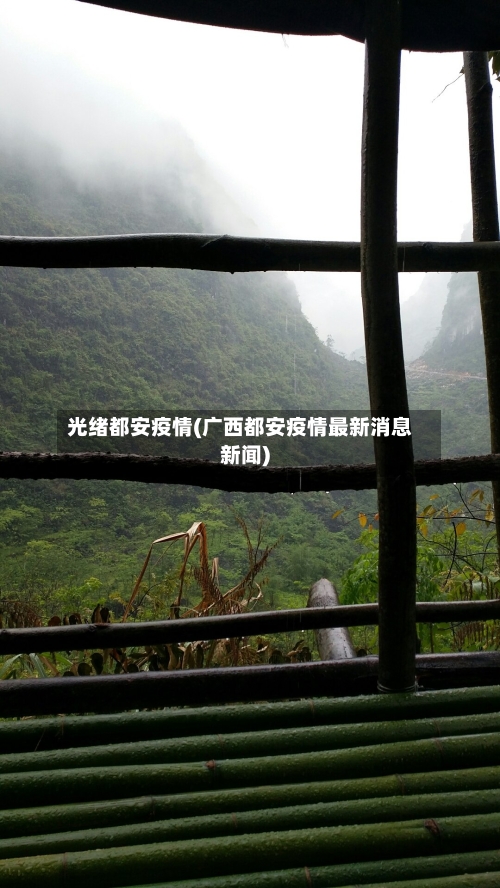 光绪都安疫情(广西都安疫情最新消息新闻)-第2张图片