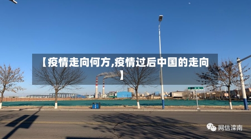 【疫情走向何方,疫情过后中国的走向】-第1张图片