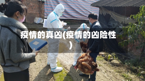 疫情的真凶(疫情的凶险性)-第2张图片