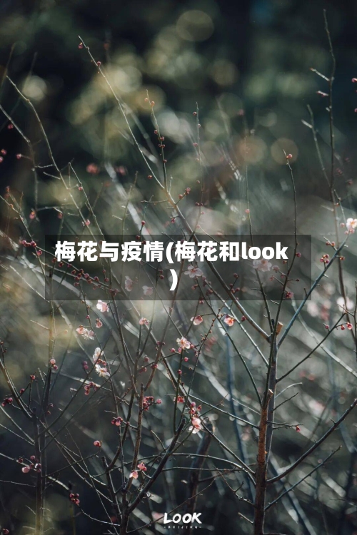 梅花与疫情(梅花和look)-第1张图片