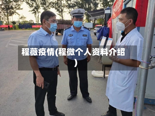 程薇疫情(程微个人资料介绍)-第1张图片