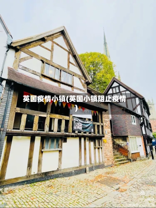 英国疫情小镇(英国小镇阻止疫情)-第2张图片