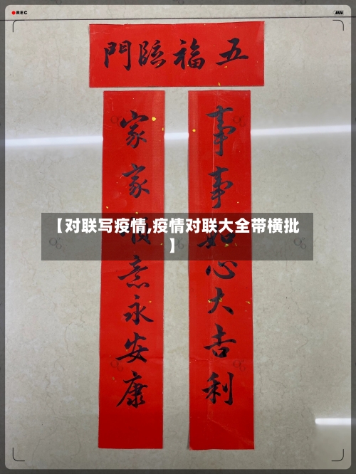 【对联写疫情,疫情对联大全带横批】-第2张图片
