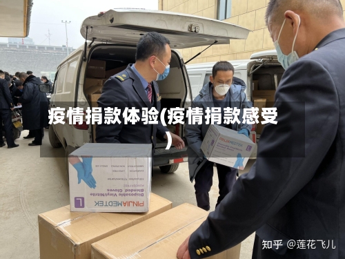 疫情捐款体验(疫情捐款感受)-第2张图片