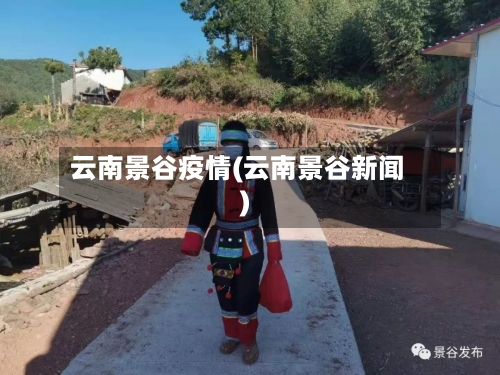 云南景谷疫情(云南景谷新闻)-第3张图片
