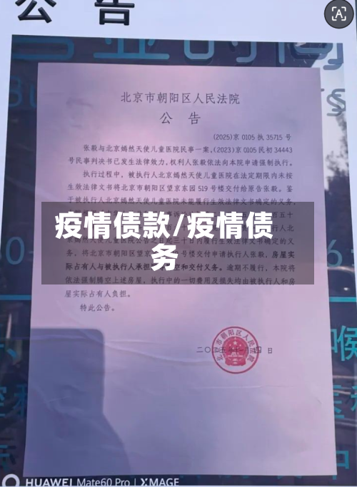 疫情债款/疫情债务-第1张图片