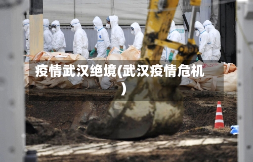 疫情武汉绝境(武汉疫情危机)-第1张图片