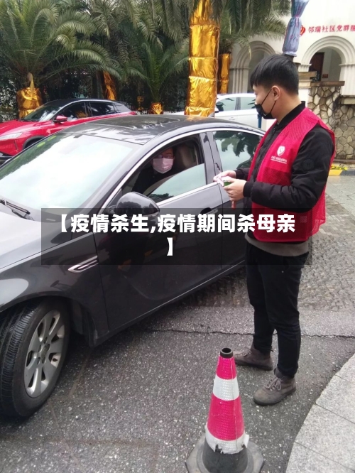 【疫情杀生,疫情期间杀母亲】-第2张图片