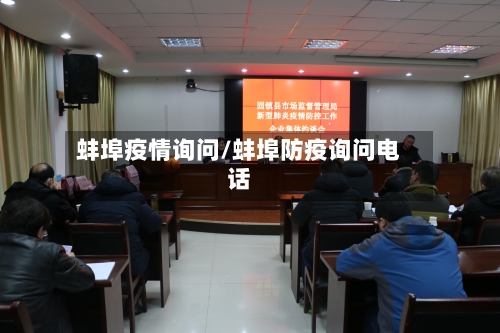 蚌埠疫情询问/蚌埠防疫询问电话-第2张图片